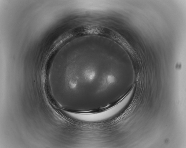 X0000099420722200805161045