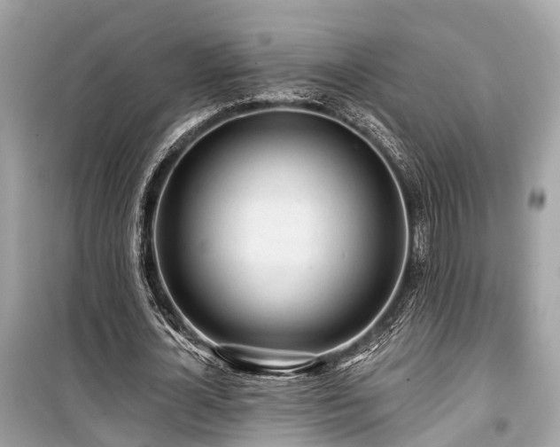 X0000099420724200805161045