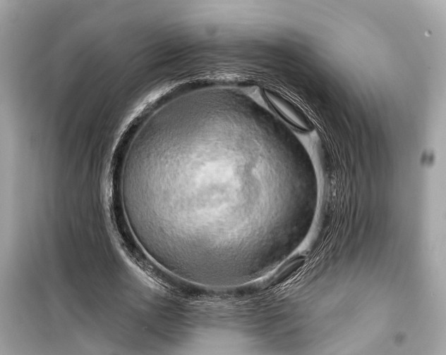 X0000099420726200805161045
