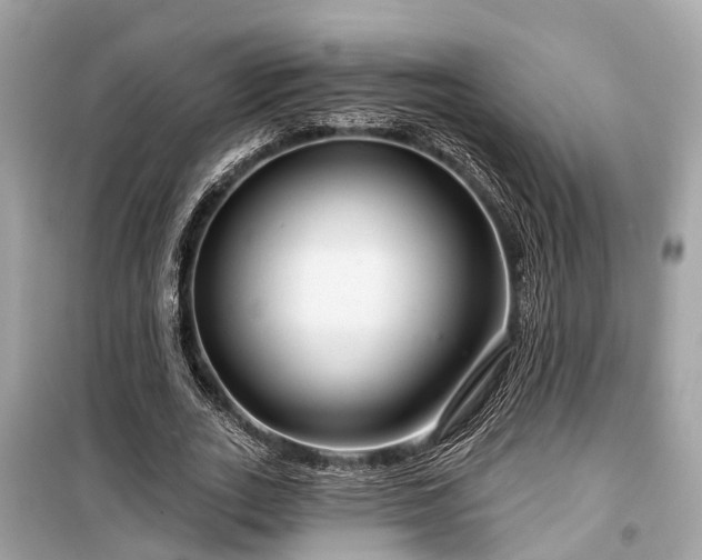 X0000099420727200805161045