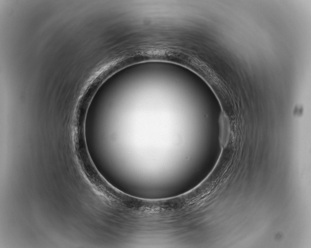 X0000099420728200805161045
