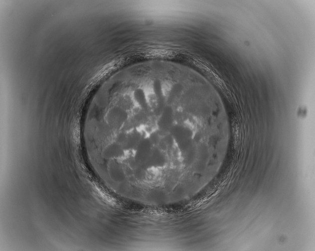 X0000099420729200805161045