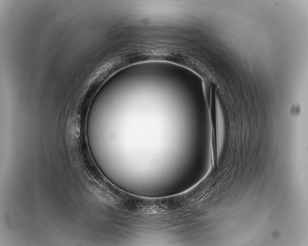 X0000099420731200805161045