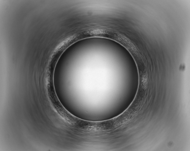 X0000099420732200805161045