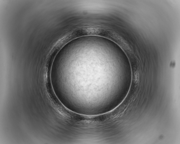 X0000099420733200805161045