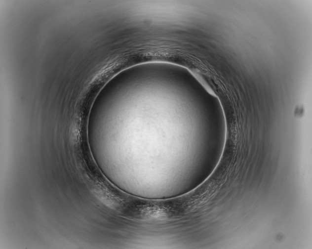 X0000099420735200805161045