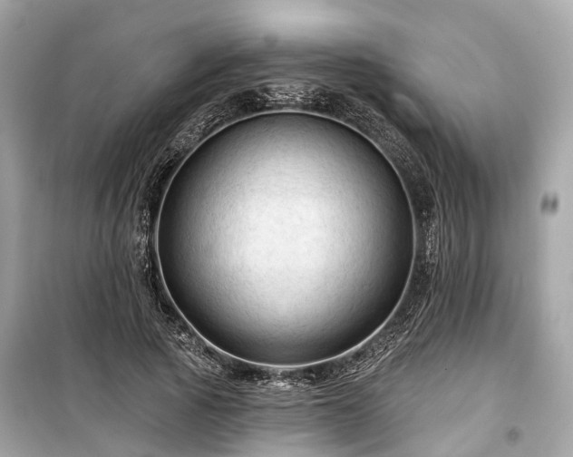 X0000099420737200805161045