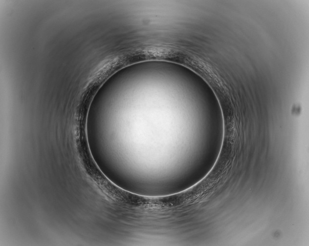 X0000099420738200805161045