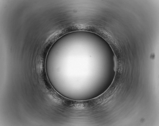 X0000099420740200805161045