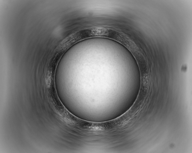 X0000099420741200805161045