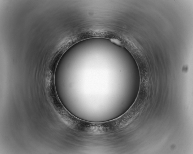 X0000099420744200805161045