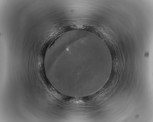 X0000099420747200805161045