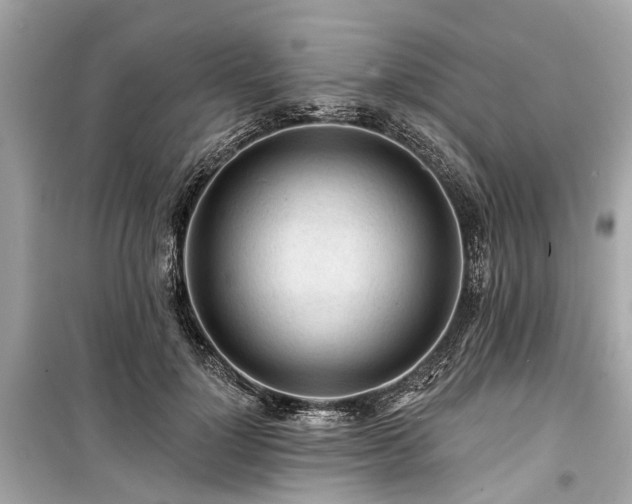 X0000099420748200805161045