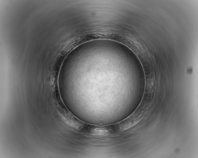 X0000099420749200805161045