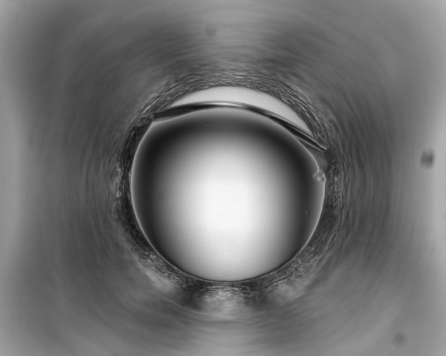 X0000099420750200805161046
