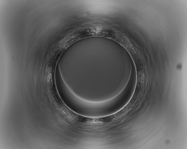 X0000099420754200805161046