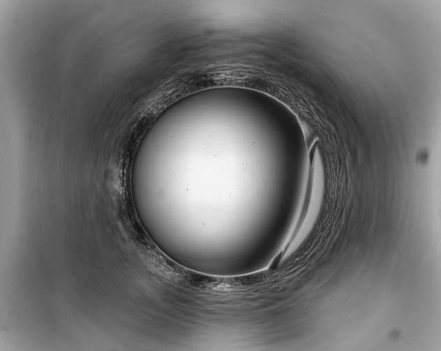X0000099420755200805161046
