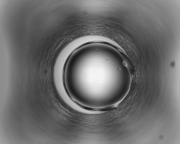 X0000099420756200805161046