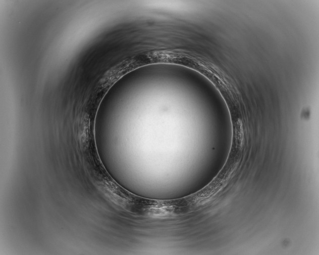 X0000099420760200805161046
