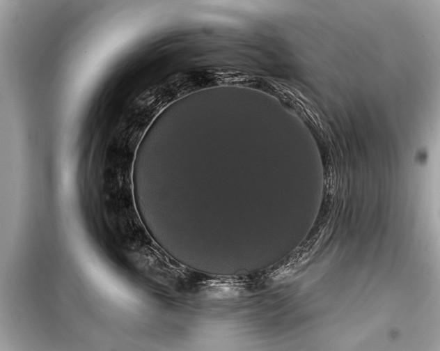 X0000099420763200805161046