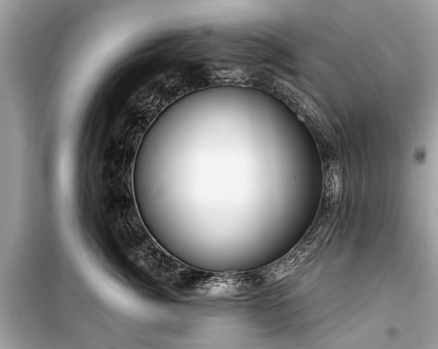 X0000099420764200805161046