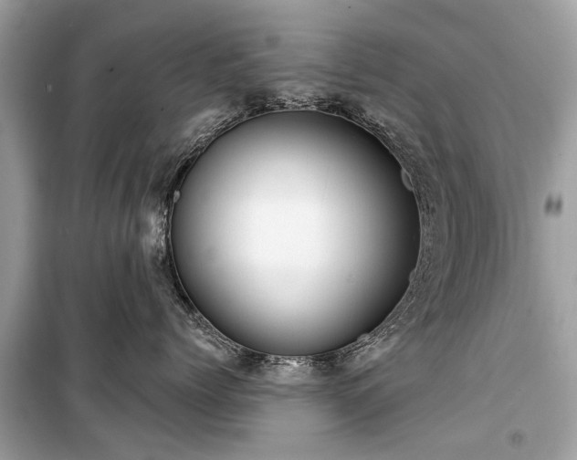 X0000099420768200805161046