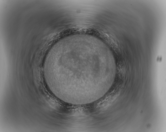 X0000099420769200805161045