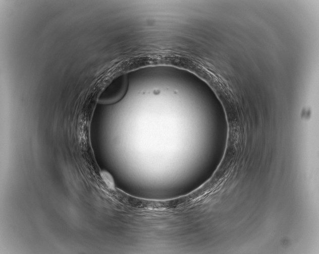 X0000099420770200805161045