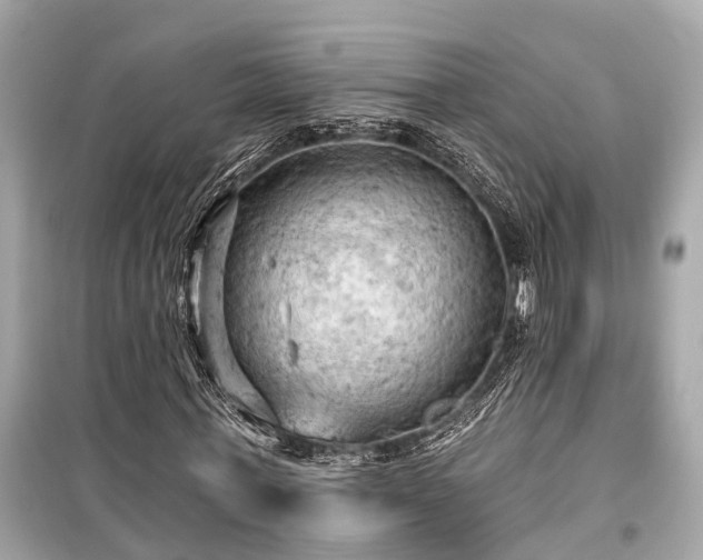 X0000099420771200805161045