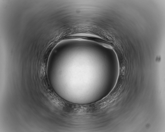 X0000099420772200805161045