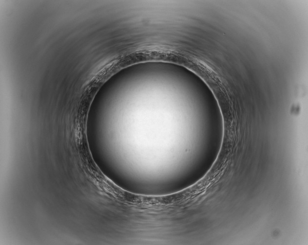 X0000099420774200805161045