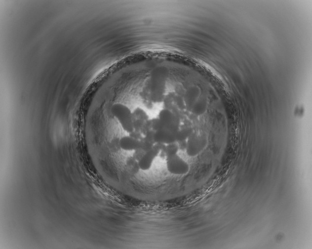 X0000099420775200805161045
