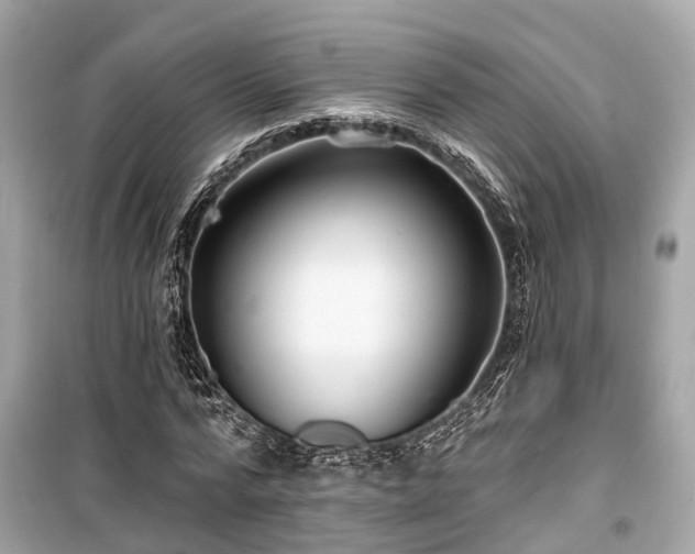 X0000099420776200805161045