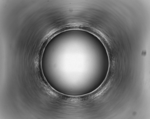 X0000099420778200805161045
