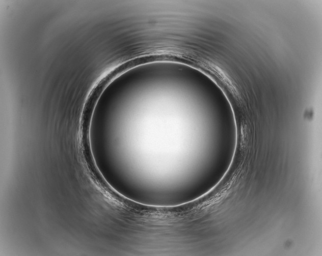 X0000099420780200805161045