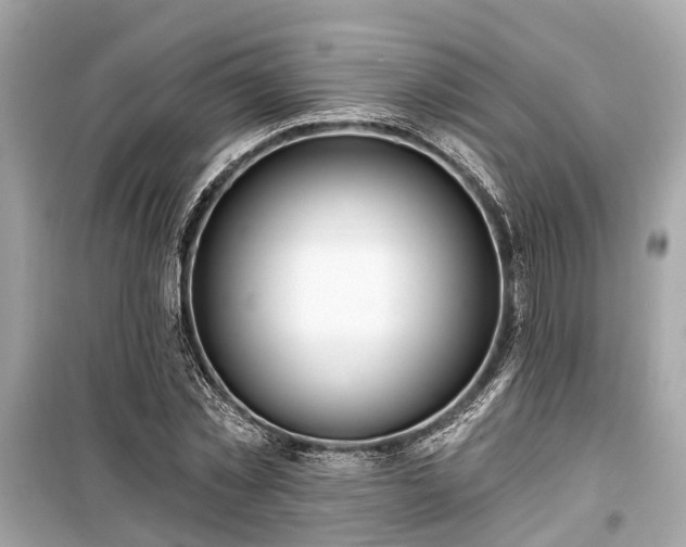 X0000099420781200805161045