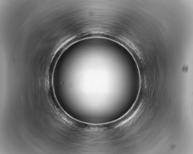 X0000099420782200805161045