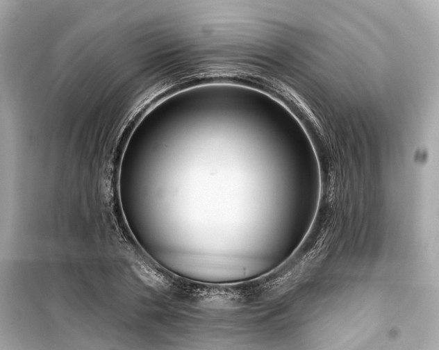 X0000099420786200805161045