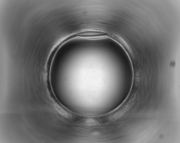 X0000099420787200805161045