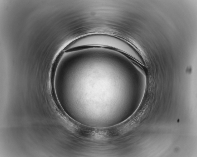 X0000099420788200805161045