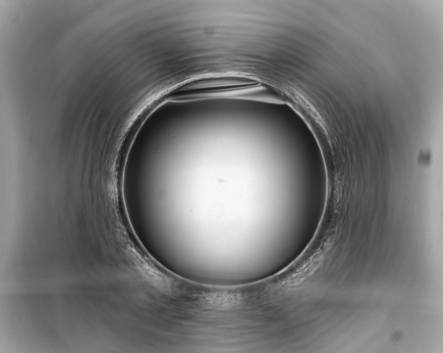 X0000099420789200805161045