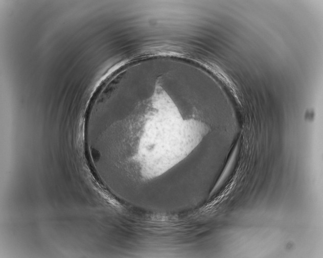 X0000099420790200805161045
