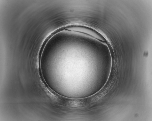 X0000099420791200805161045