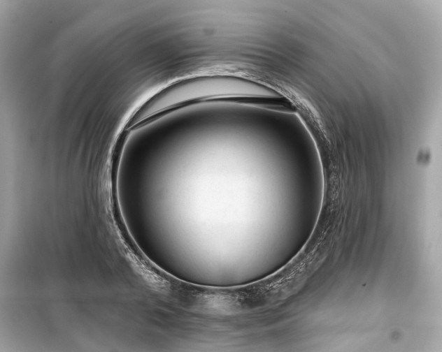 X0000099420792200805161045