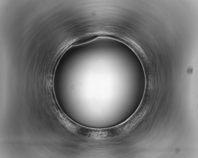 X0000099420793200805161045