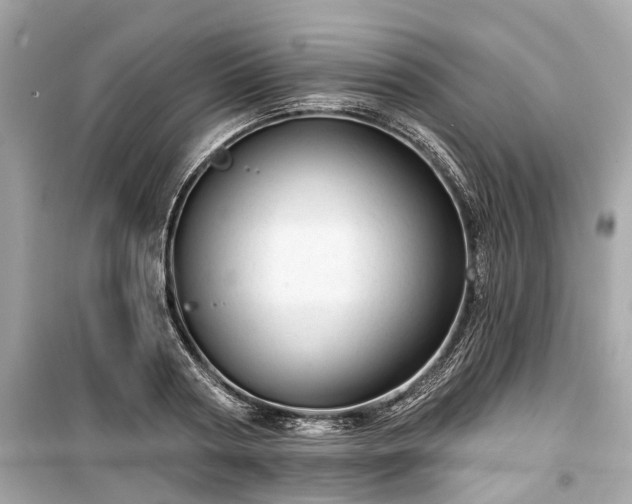 X0000099420794200805161045