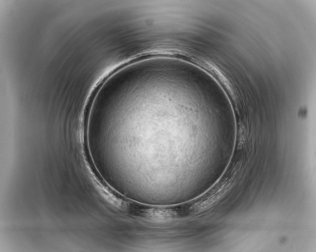 X0000099420795200805161045