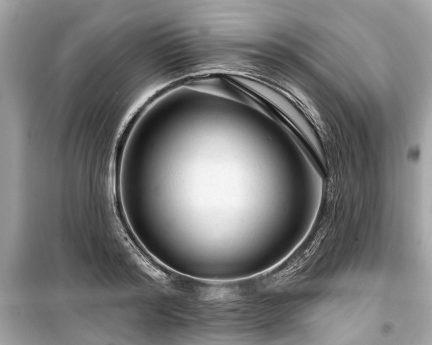 X0000099420796200805161045