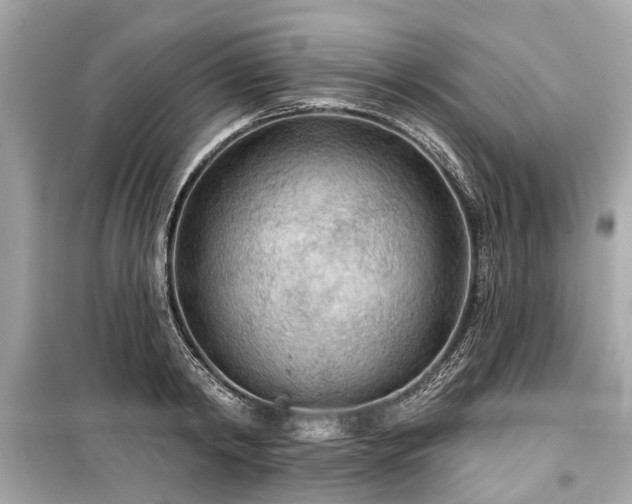 X0000099420798200805161044