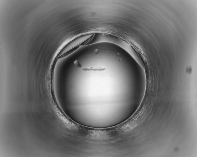 X0000099420800200805161044